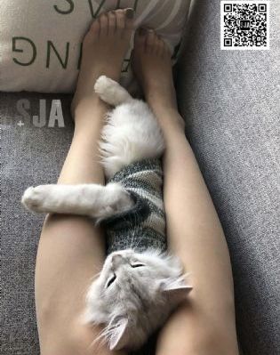 一级肉体全黄裸片免费观看_超清电影完整版在线观看