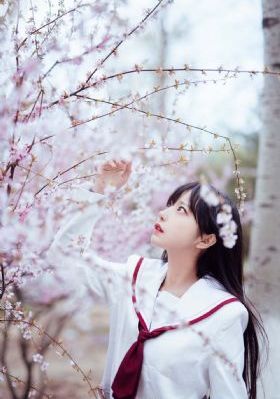在线看va_4K免费观看电视剧